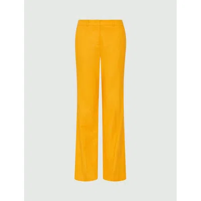 Marella Angri In Yellow