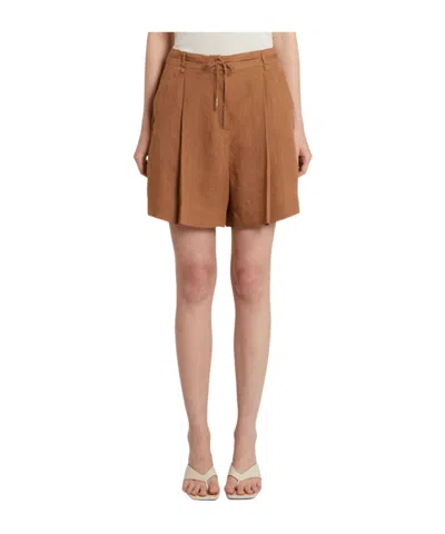 Marella Belt Loops Shorts In Brown