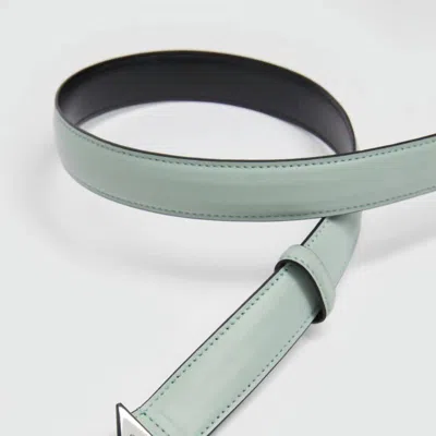 Marella Boario Monochrome Belt In Green