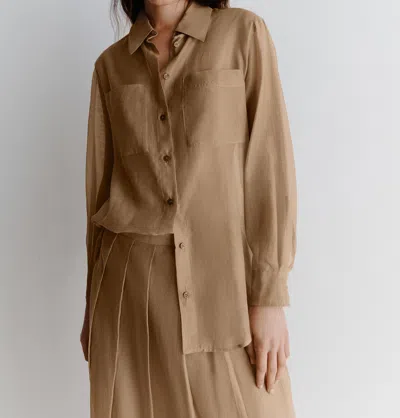 Marella Cennare In Brown