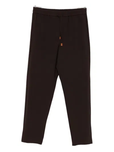 Marella Drawstring-waist Trousers In Brown