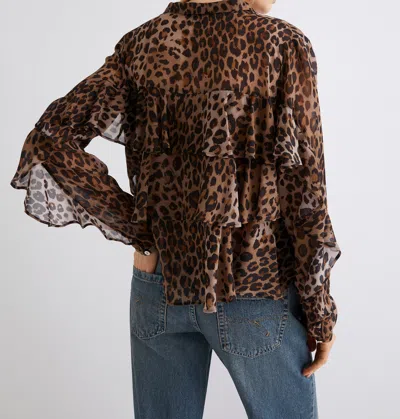 Marella Gala In Brown