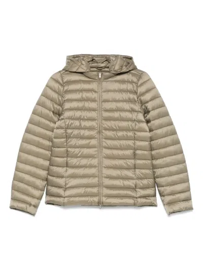 Marella Inizio Jacket In 绿色