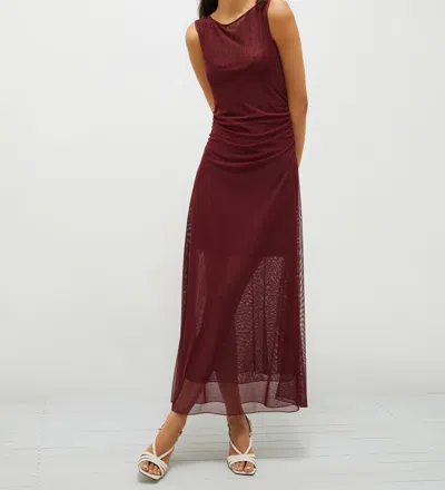 Marella Lice In Brown