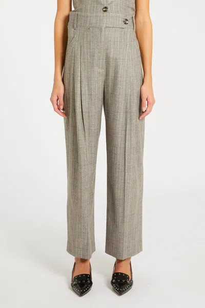 Marella Pants In Brown