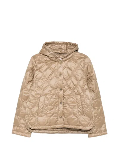 Marella Quilted Hooded Jacket In Brown