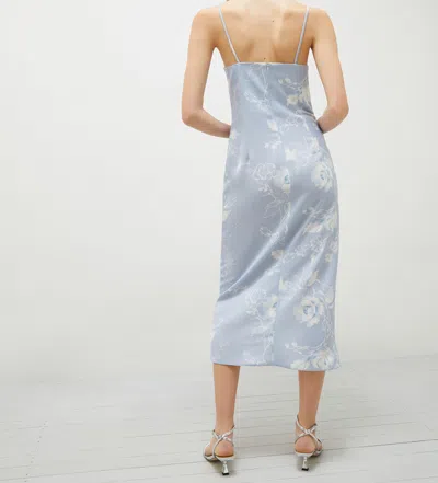 Marella Radix In Brown