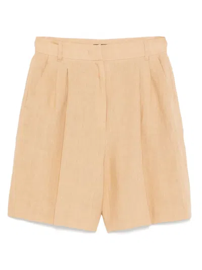 Marella Rosta Shorts In Brown