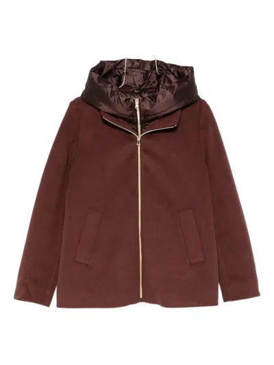 Marella Sorriso Hooded Zip-up Jacket In Brown