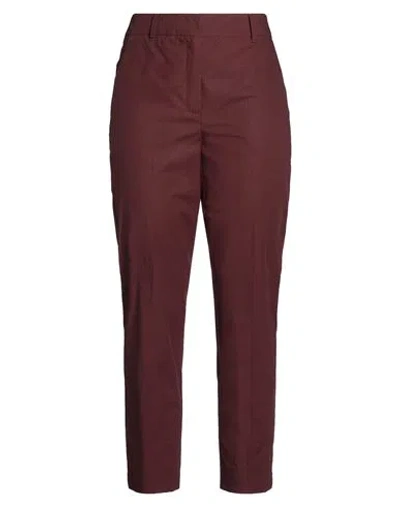Marella Sport Woman Pants Chocolate Brown Size 10 Cotton