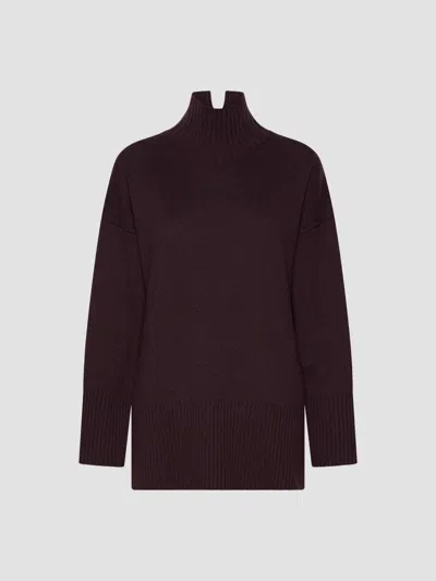 Marella Women's Pure Wool Mock Polo Neck Jumper In Blackberry