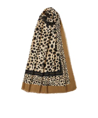 Marella Wool Shawl In Brown