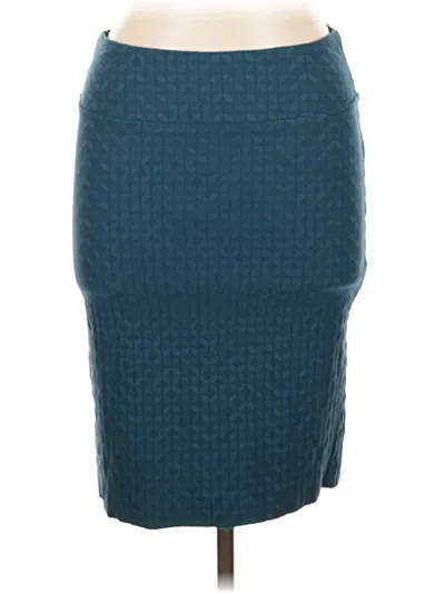 Pre-owned Margaret M Casual Skirt In Blue