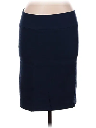 Pre-owned Margaret M Casual Skirt In Blue
