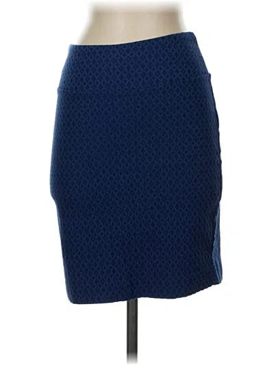 Pre-owned Margaret M Casual Skirt In Blue
