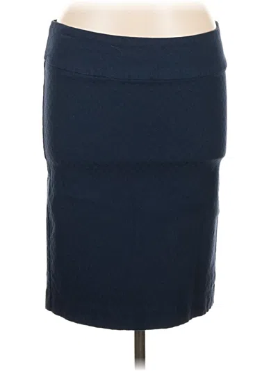 Pre-owned Margaret M Casual Skirt In Blue