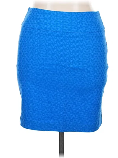 Pre-owned Margaret M Casual Skirt In Blue