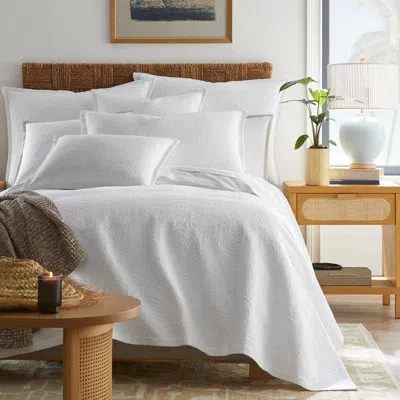Margaritaville Caribbean Matelassé Coverlet Cotton In White