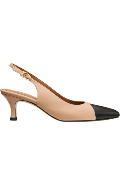 Margaux The Colette In Pink