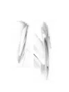 Maria Black Coil Stud Earring In Silver