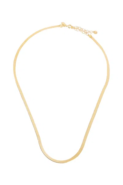 Maria Black Woman Gold Jewellery