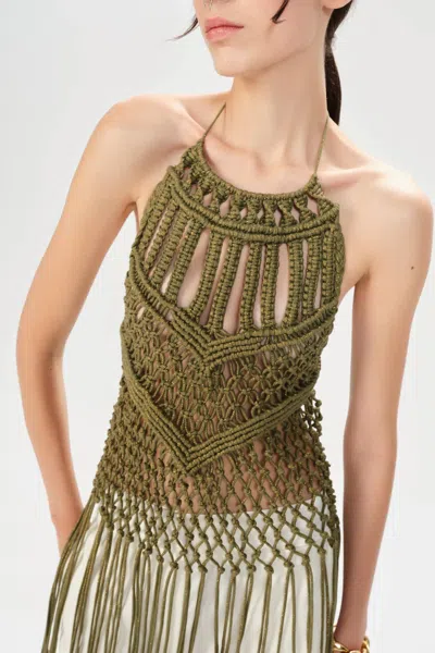 Maria Cher Pique Kali Top In Olive In Green