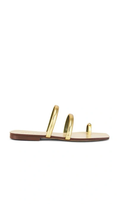 Maria Luca Monica Capri Sandal In Gold