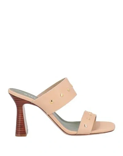 Maria Luca Woman Sandals Beige Size 8 Leather