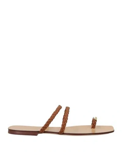 Maria Luca Woman Thong Sandal Brown Size 8 Cow Leather