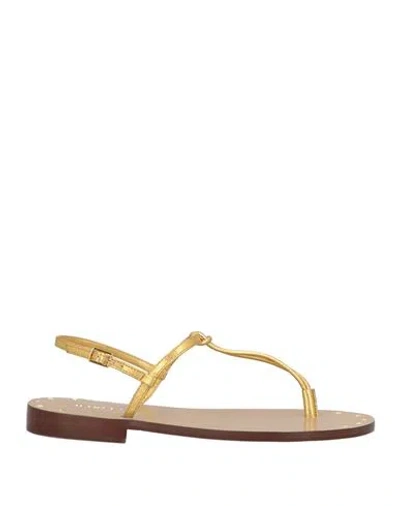 Maria Luca Woman Thong Sandal Gold Size 6 Leather