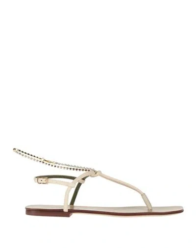 Maria Luca Woman Thong Sandal Ivory Size 8 Leather In White