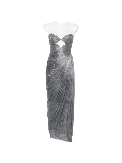 Maria Lucia Hohan Amisha Maxi Dress In Animal Print