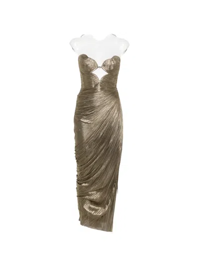 Maria Lucia Hohan Amisha Maxi Dress In Animal Print