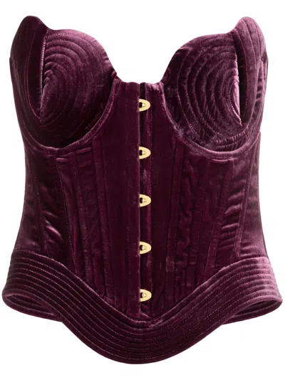 Maria Lucia Hohan Destiny Velvet Corset Top In Purple