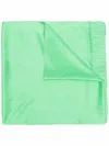 Maria Lucia Hohan Fringed-edge Stole In Green