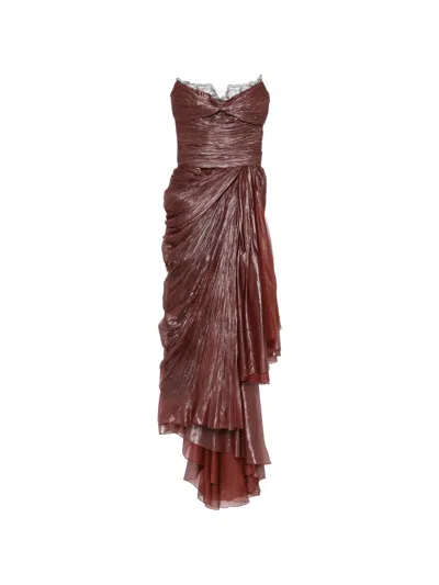 Maria Lucia Hohan Jolie Lace-trim Pleated Dress In Brown