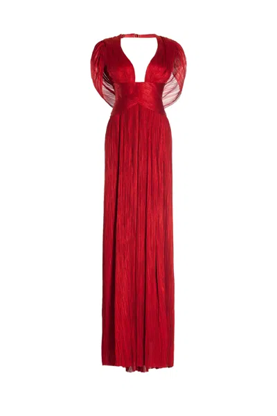 Maria Lucia Hohan Laurel Dress In Red