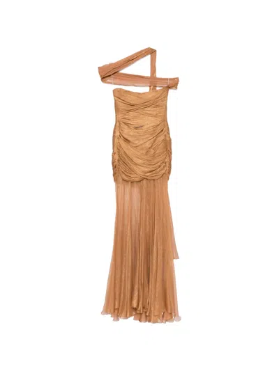 Maria Lucia Hohan Marimar Pleated Strapless Maxi Dress In Brown