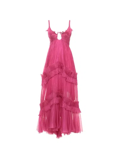 Maria Lucia Hohan Matea Maxi Dress In Pink