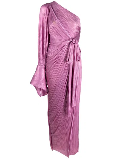 Maria Lucia Hohan Palmer Plissé-pleated Gown In Rosa