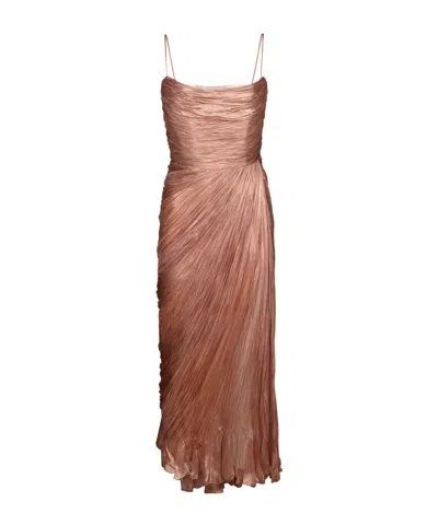 Maria Lucia Hohan Ruched Pleated Gown Dress In Brown