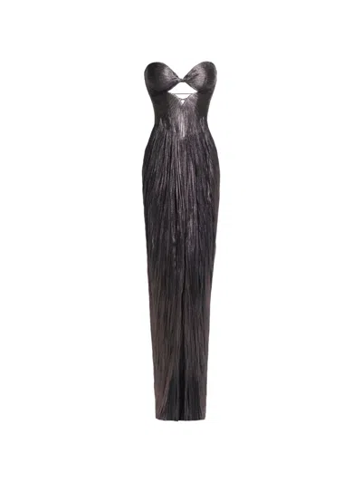 Maria Lucia Hohan Stephanie Cut-out Pleated Maxi Dress In Brown