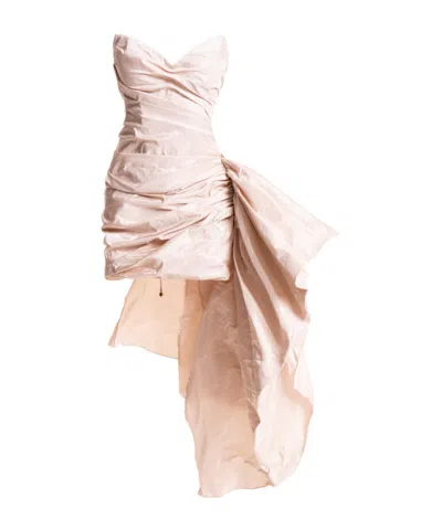 Maria Lucia Hohan Strapless Dress In Brown