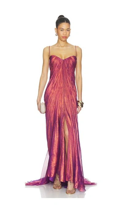 Maria Lucia Hohan Victoria Dress In Multi