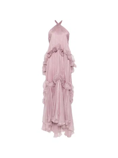 Maria Lucia Hohan Zadie Ruffled Maxi Dress In Pink