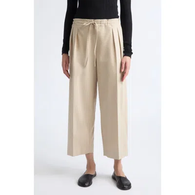 Maria Mcmanus Pleated Stretch Wool & Cashmere Drawstring Trousers In Gray