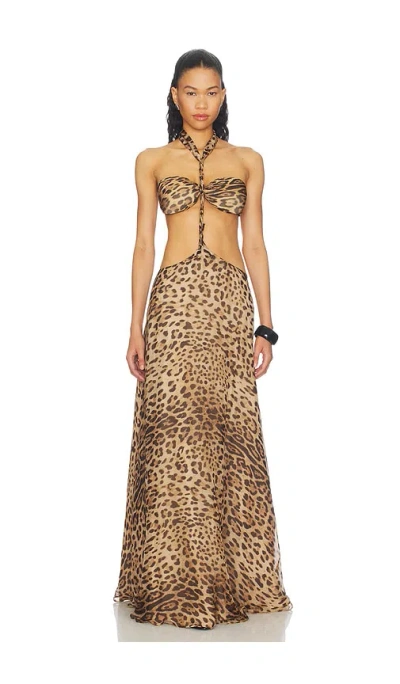 Mariandree Gaitan Kira Dress In Brown