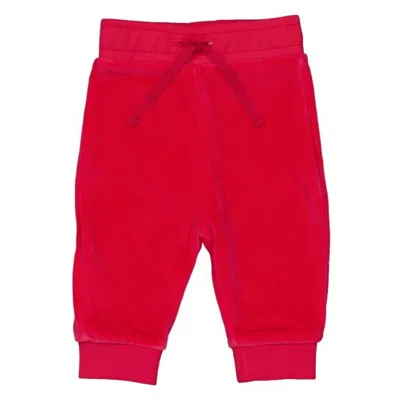 Marie Chantal Infant Angel Wing Velour Joggers In Red