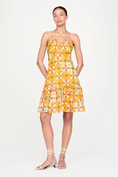 Marie Oliver Alisa Dress In Papaya