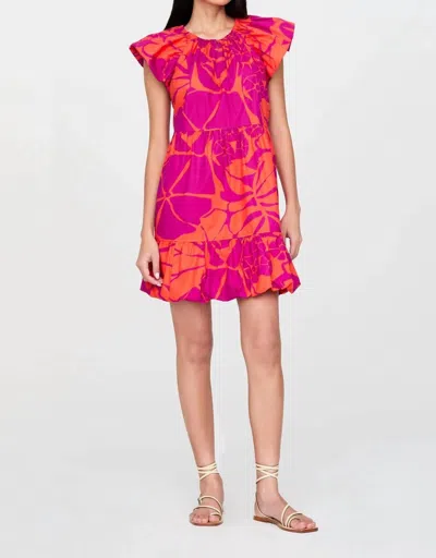 Marie Oliver Clover Mini Dress In Dahlia Print